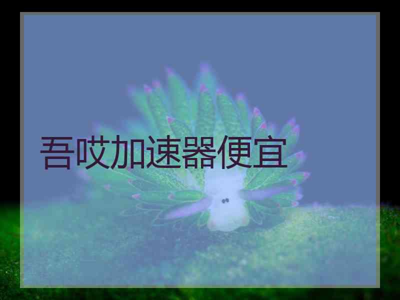 吾哎加速器便宜