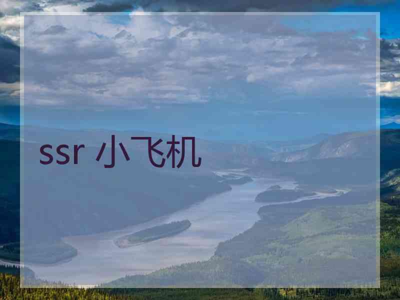 ssr 小飞机