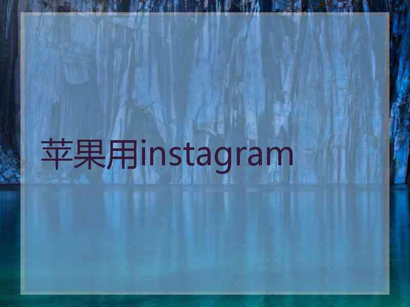 苹果用instagram
