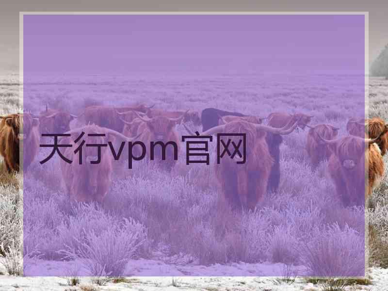 天行vpm官网
