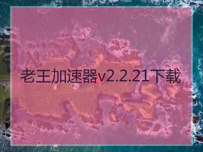 老王加速器v2.2.21下载