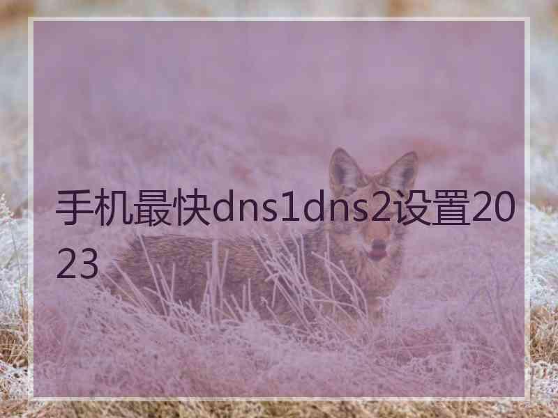 手机最快dns1dns2设置2023