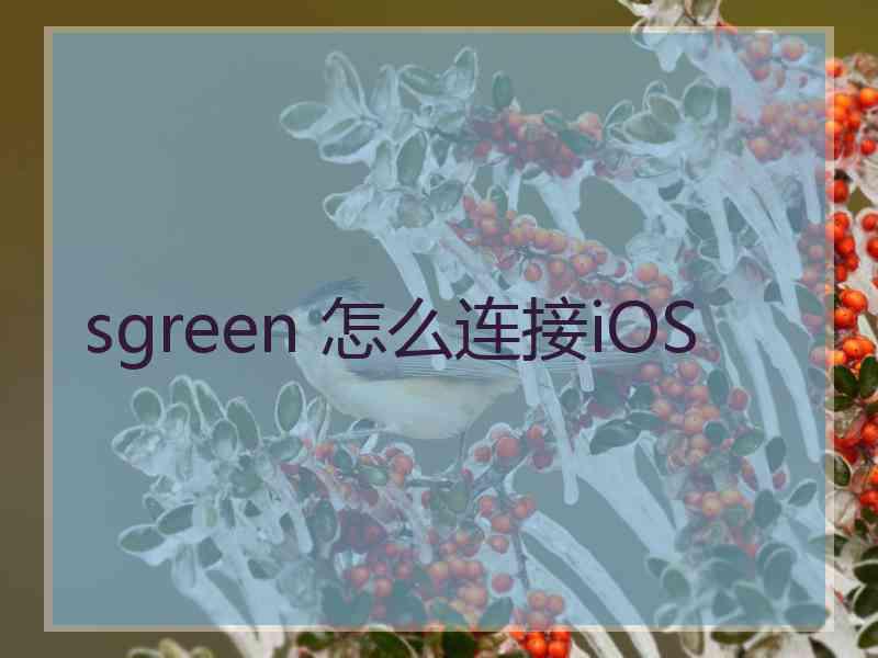 sgreen 怎么连接iOS