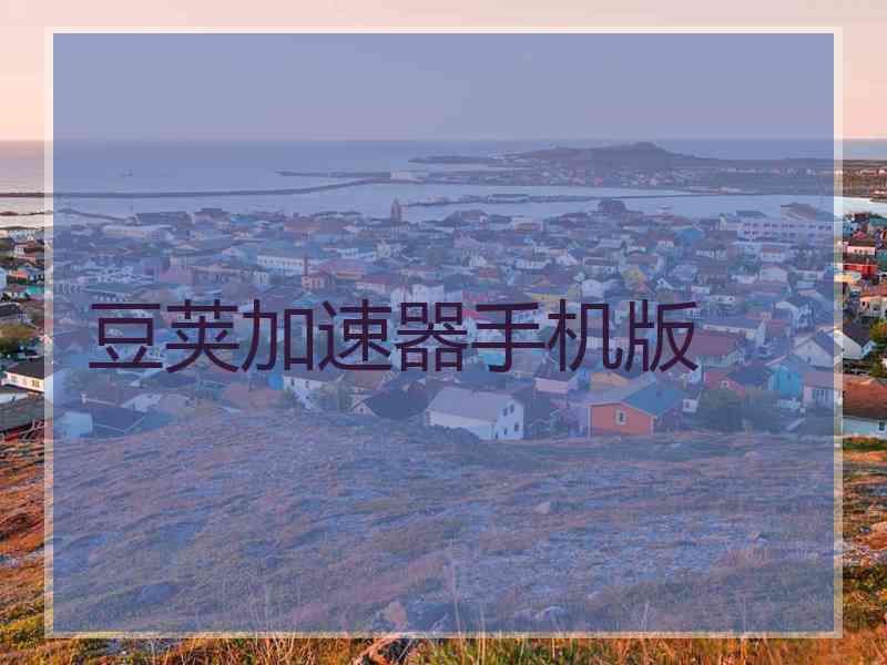 豆荚加速器手机版
