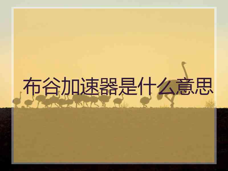 布谷加速器是什么意思