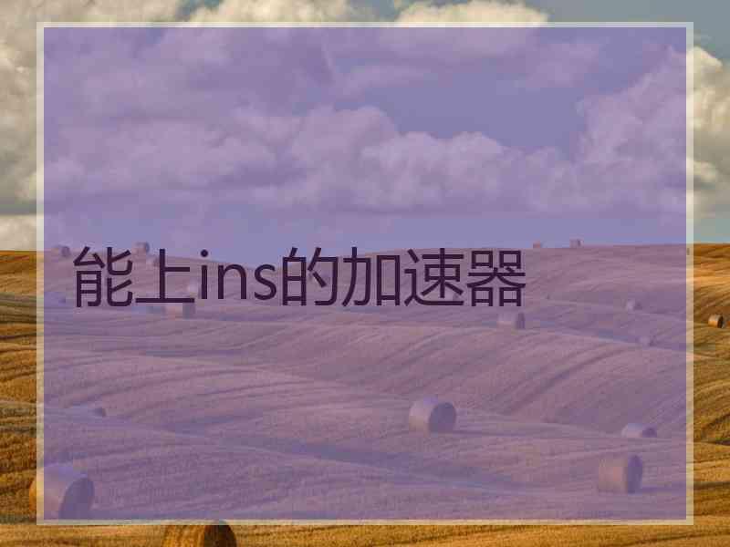能上ins的加速器