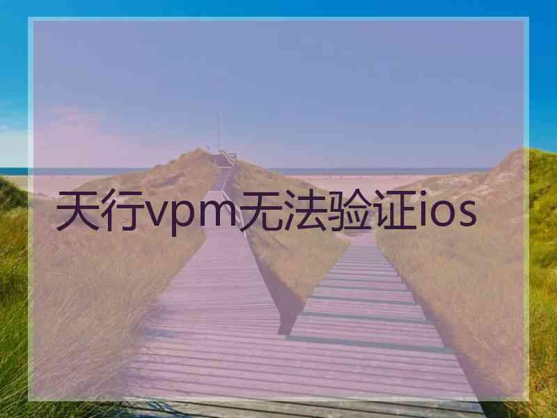 天行vpm无法验证ios