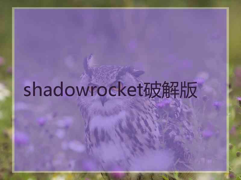shadowrocket破解版