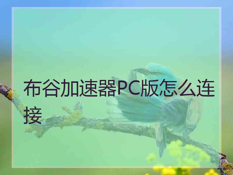 布谷加速器PC版怎么连接
