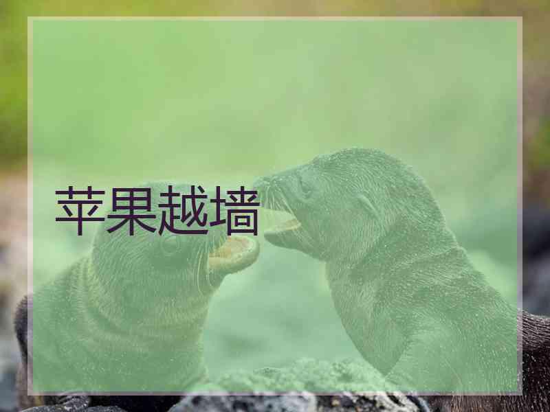 苹果越墙
