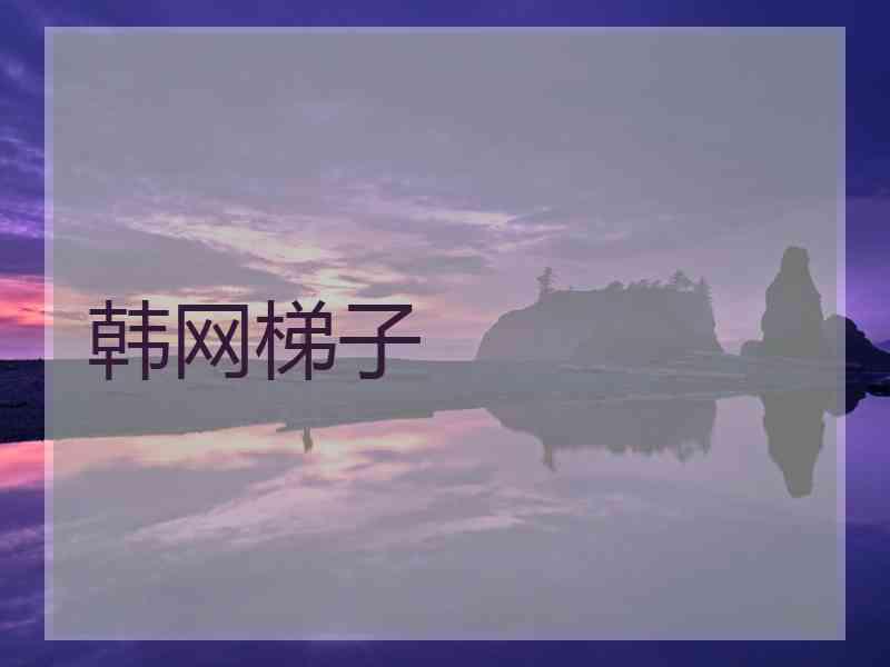 韩网梯子