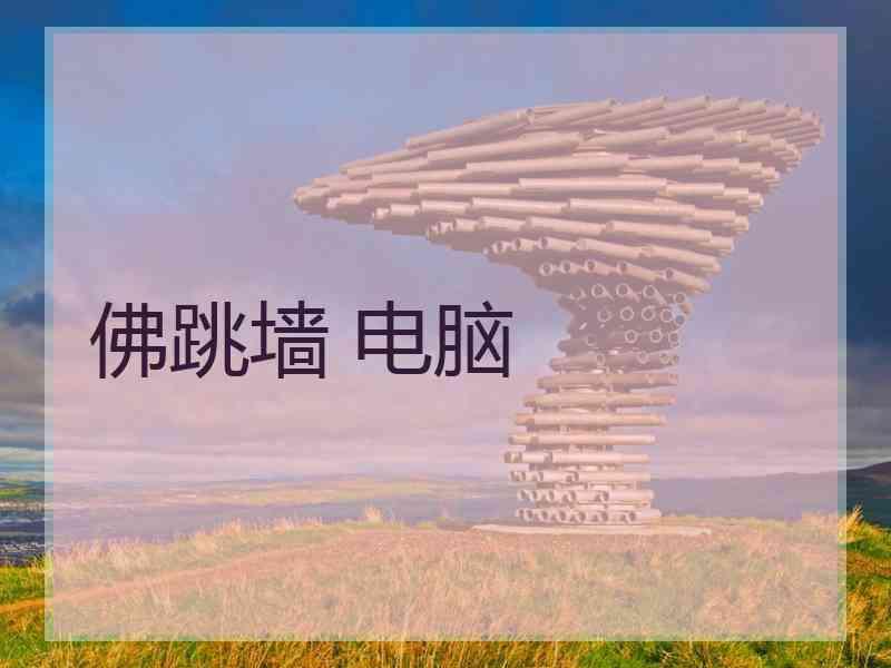佛跳墙 电脑