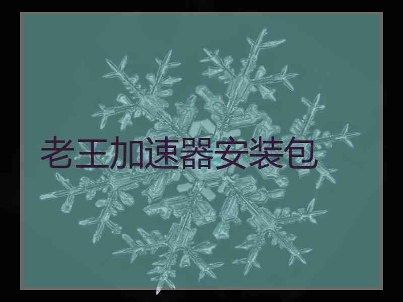 老王加速器安装包