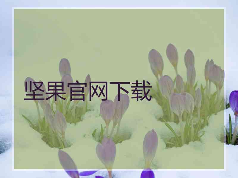 坚果官网下载