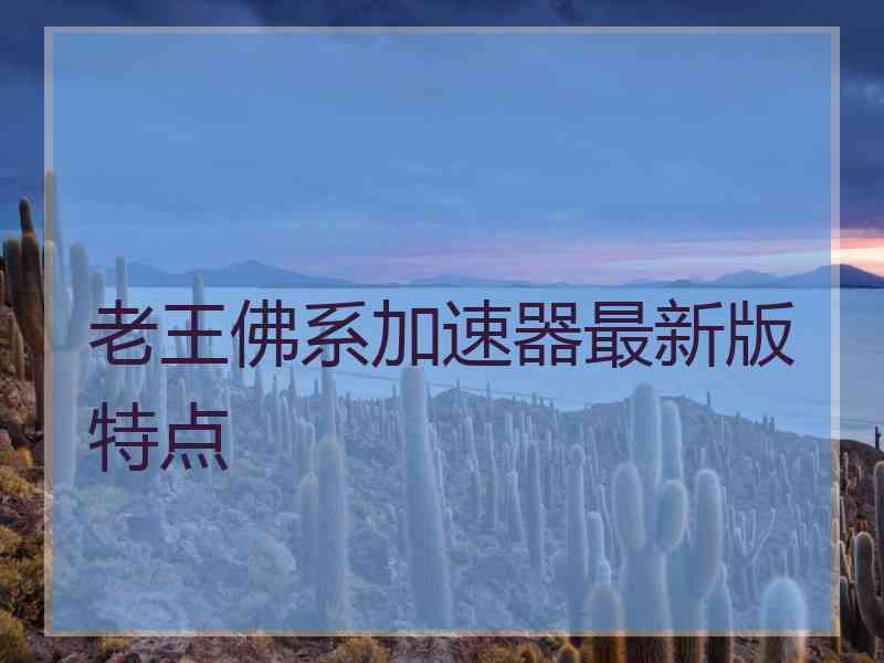 老王佛系加速器最新版特点