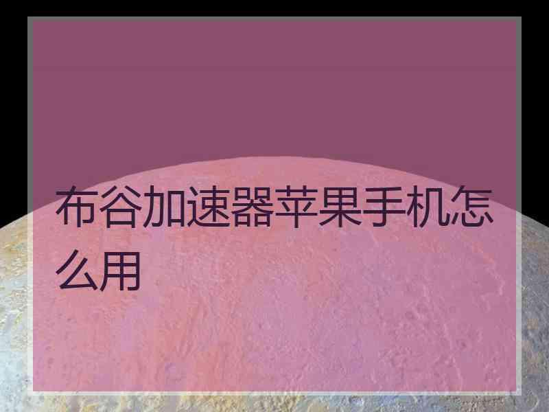 布谷加速器苹果手机怎么用