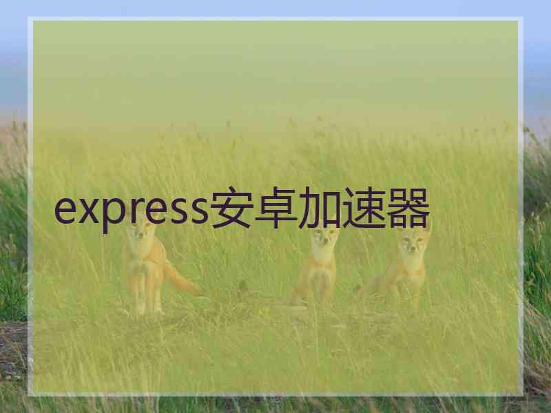 express安卓加速器