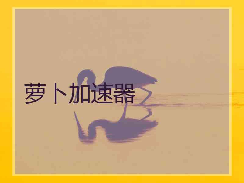 萝卜加速器