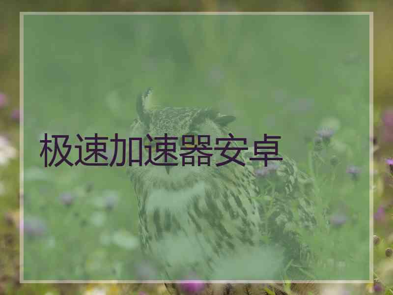 极速加速器安卓