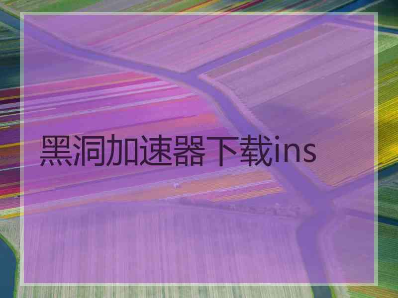 黑洞加速器下载ins