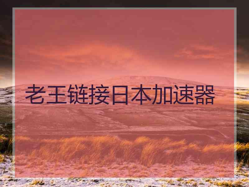 老王链接日本加速器