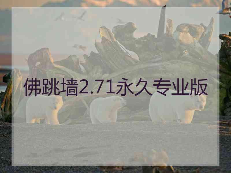 佛跳墙2.71永久专业版