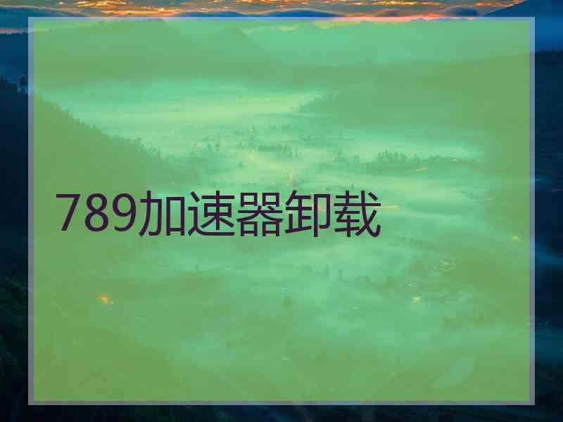 789加速器卸载