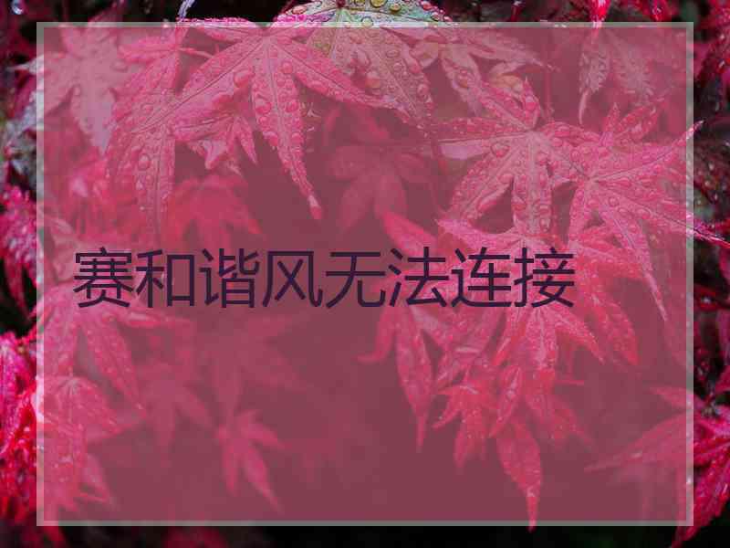 赛和谐风无法连接