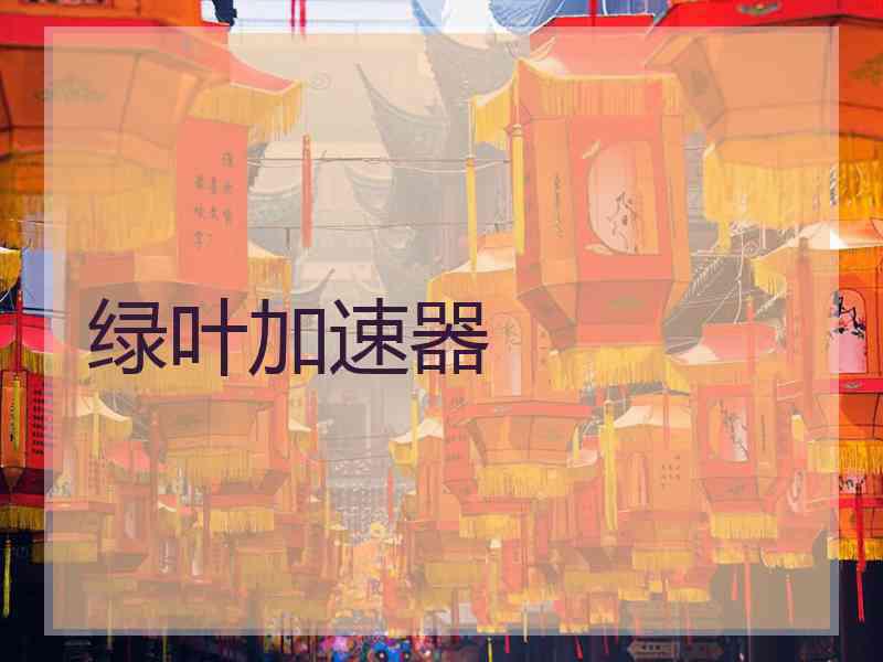 绿叶加速器