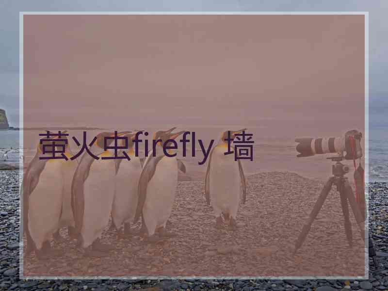 萤火虫firefly 墙