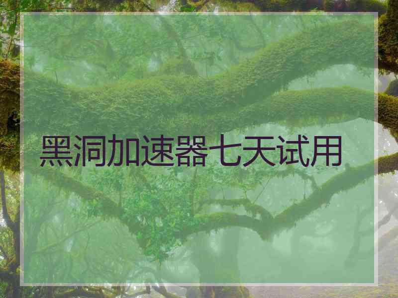 黑洞加速器七天试用