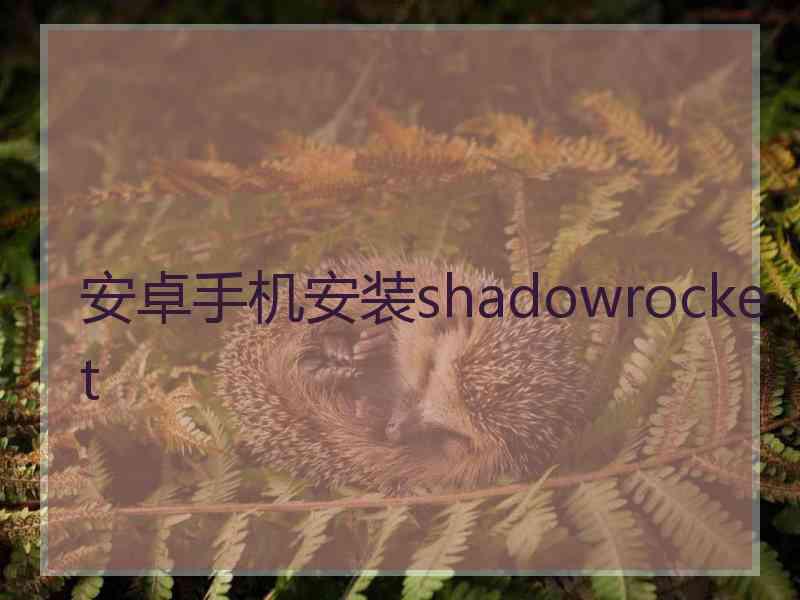 安卓手机安装shadowrocket