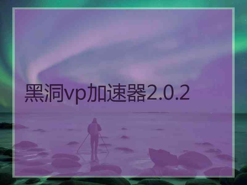 黑洞vp加速器2.0.2