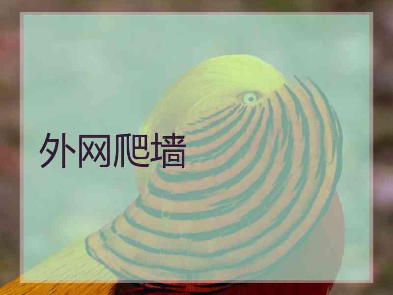 外网爬墙