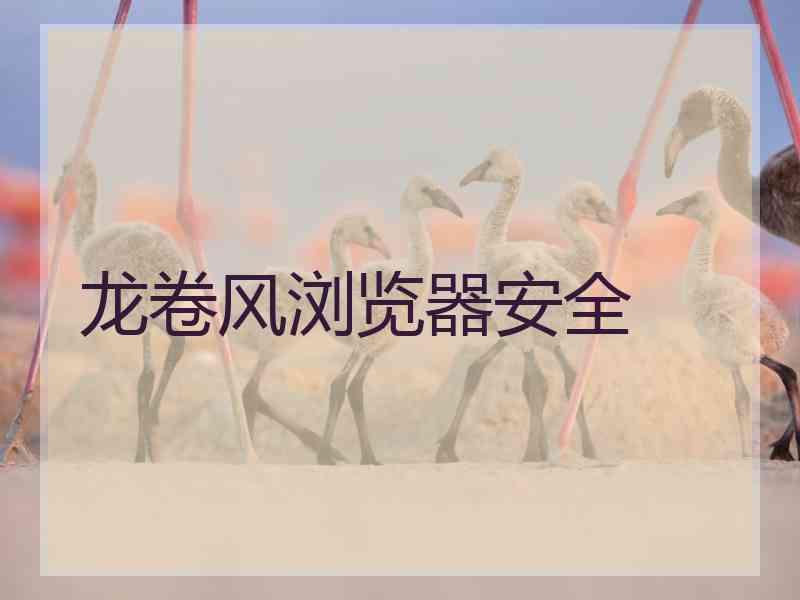 龙卷风浏览器安全