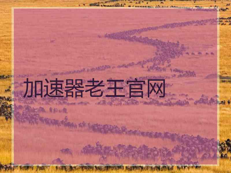 加速器老王官网
