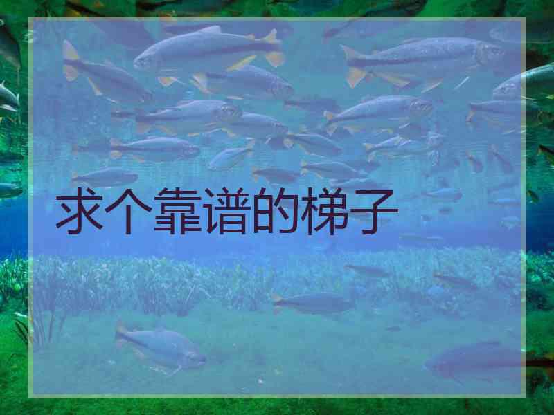 求个靠谱的梯子