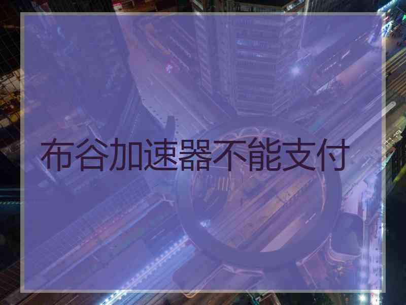 布谷加速器不能支付