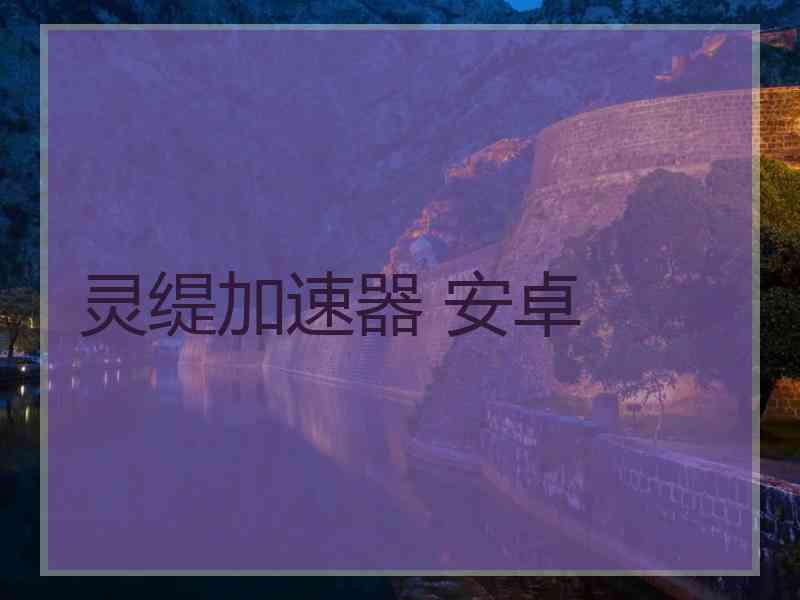 灵缇加速器 安卓