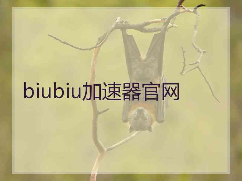 biubiu加速器官网