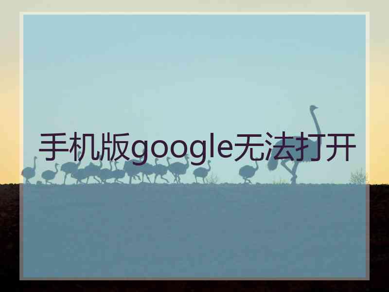 手机版google无法打开