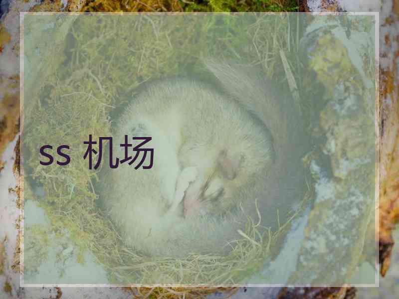 ss 机场