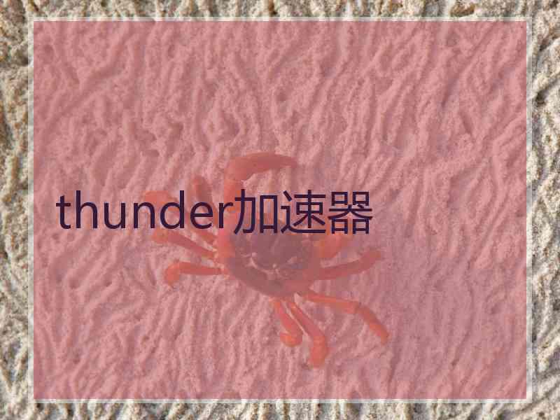 thunder加速器