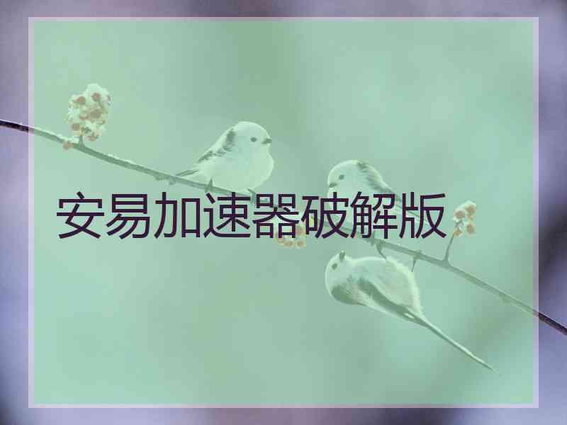 安易加速器破解版