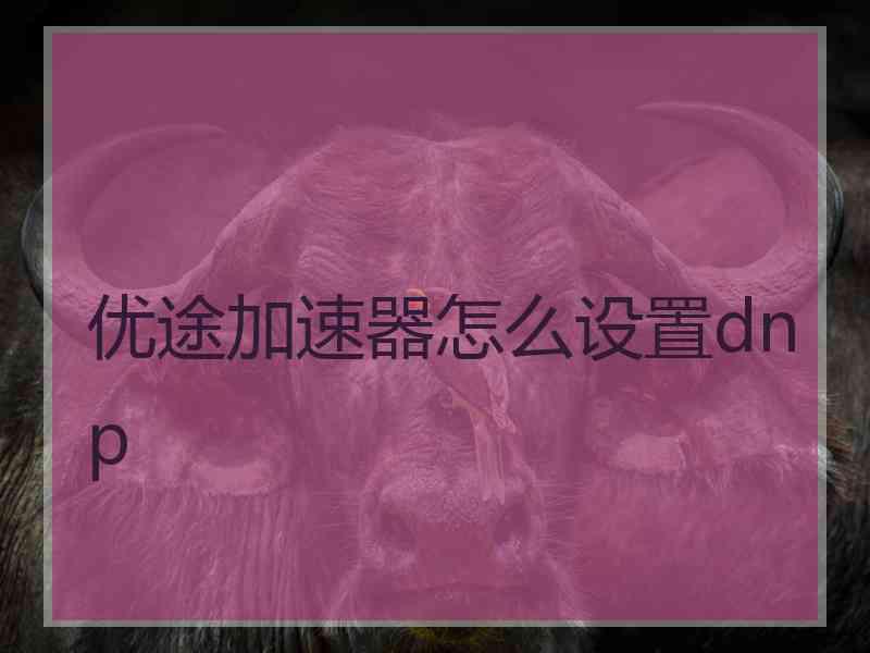 优途加速器怎么设置dnp