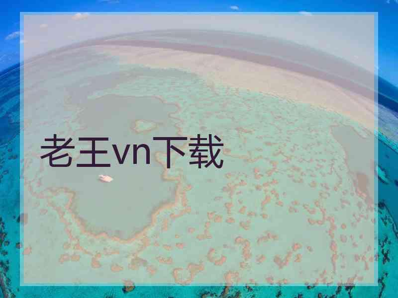 老王vn下载