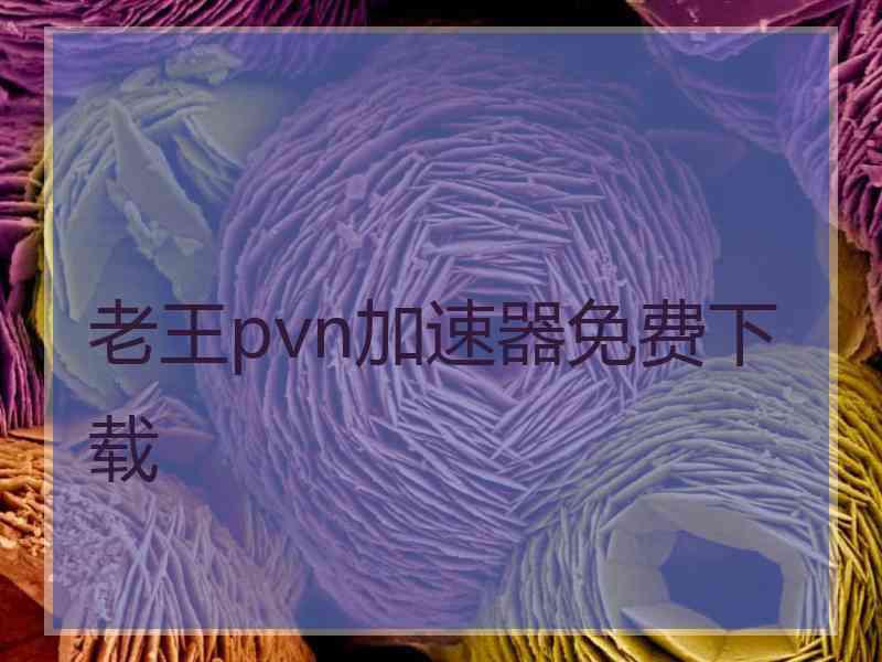 老王pvn加速器免费下载