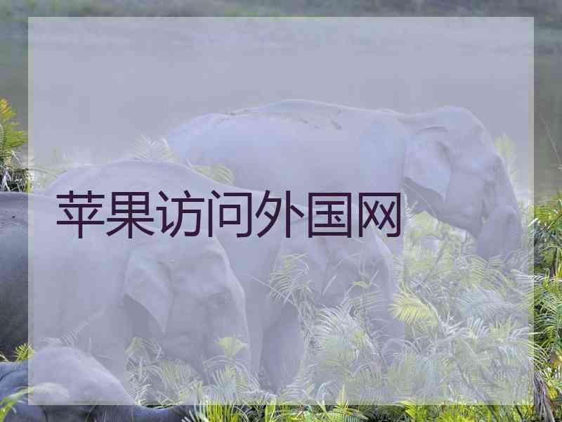 苹果访问外国网