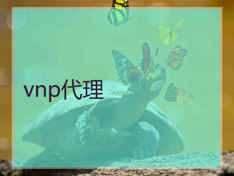 vnp代理