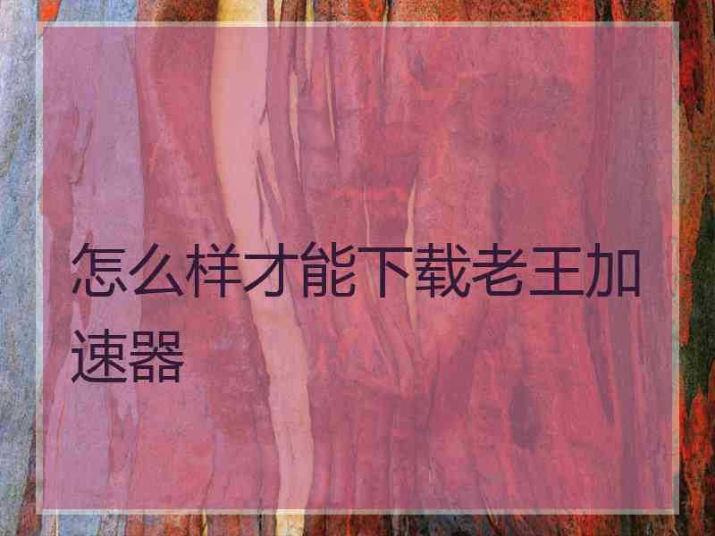 怎么样才能下载老王加速器